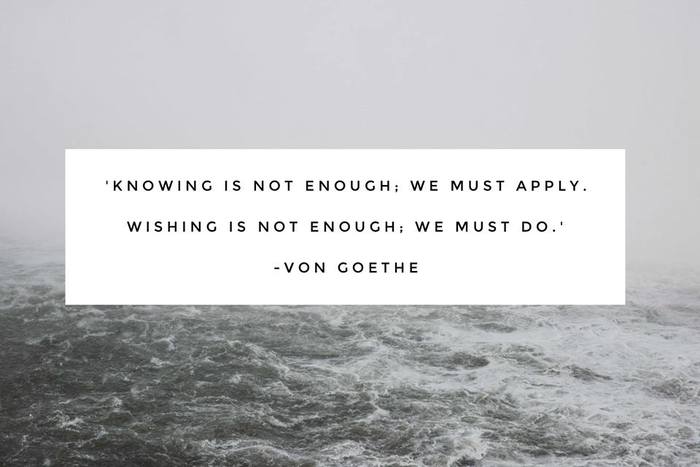 “Knowing is not enough; we must apply. Wishing is not enough; we must do.”